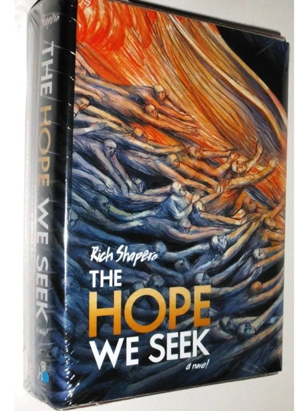 The Hope We Seek Rich Shapero Collector Edition Hardcover Book & Music CD Sealed